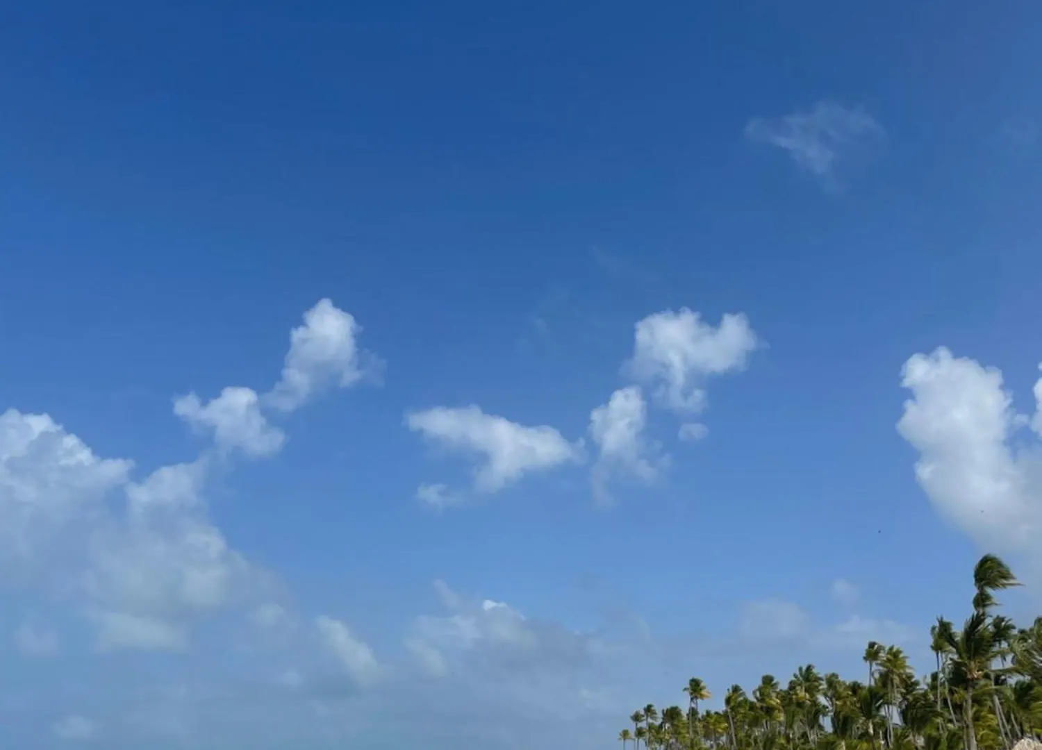 Appartamento New! Chic Beach Condo At Punta Cana Repubblica Dominicana
